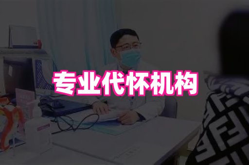 123试管孕网 1