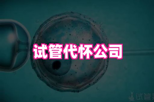 123试管孕网 4